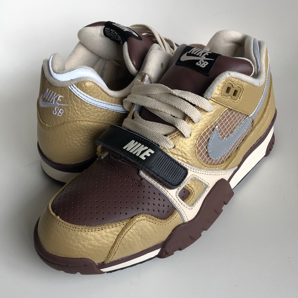 dunk low pro skate